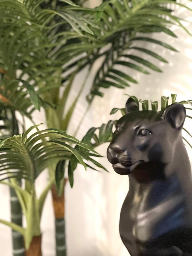 Le Troglo'Gite, 500M A Pied Du Zoo De Beauval Seigy Екстериор снимка